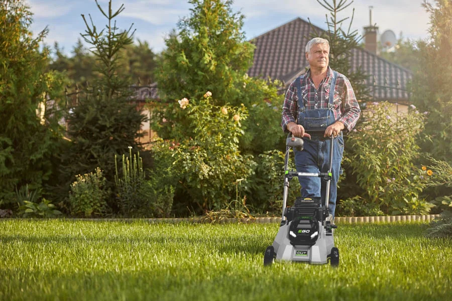 small lawnmower